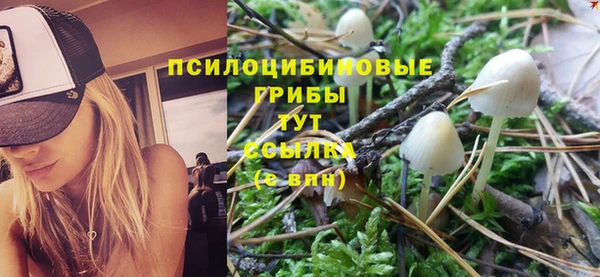 бошки Балахна