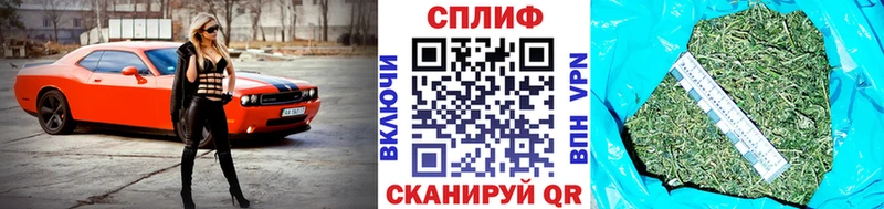 Марихуана марихуана  mega рабочий сайт  Шагонар 